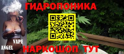 мяу мяу мука Кулебаки