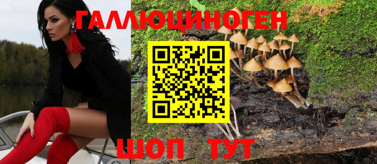 Королёв  Псилоцибиновые грибы Psilocybe  цены наркотик  Вход с VPN 