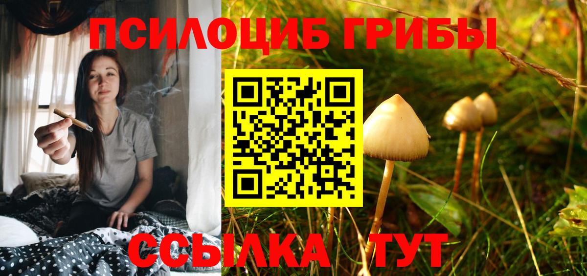 Галлюциногенные грибы GOLDEN TEACHER Королёв